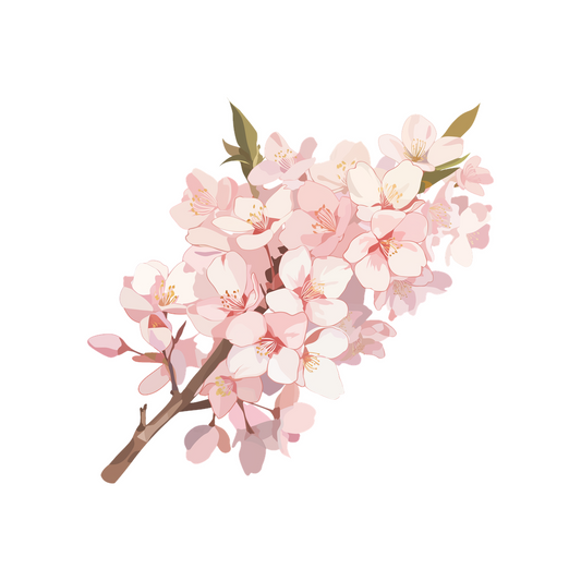 cherry blossom branch clipart