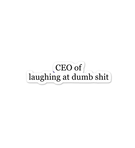 CEO Of Laughing At Dumb Shit