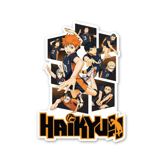 Karasuno Fly High