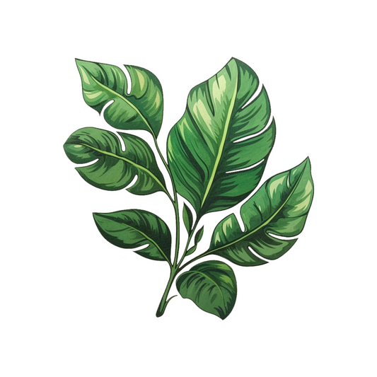 tropical leaves sticker