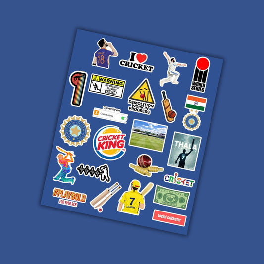 Cricket Fanatic  Mini Stickers