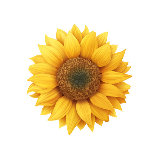 bright sunflower clipart