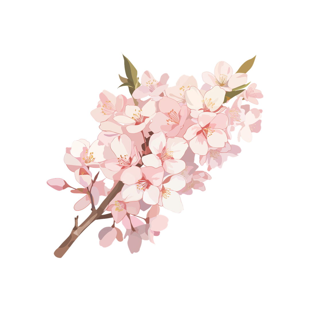 cherry blossom branch clipart