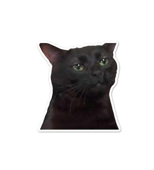 Black Cat Meme  Laptop  Mobile Stickers