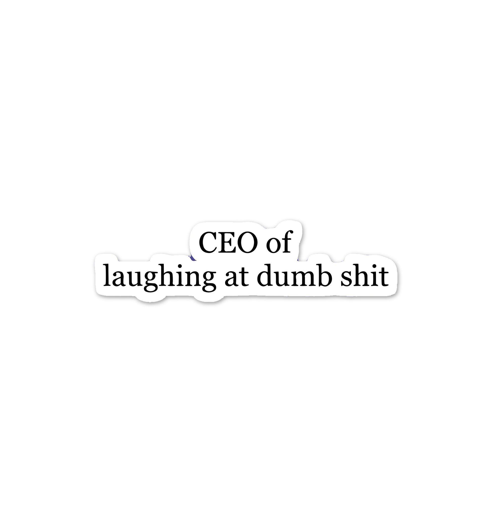 CEO Of Laughing At Dumb Shit