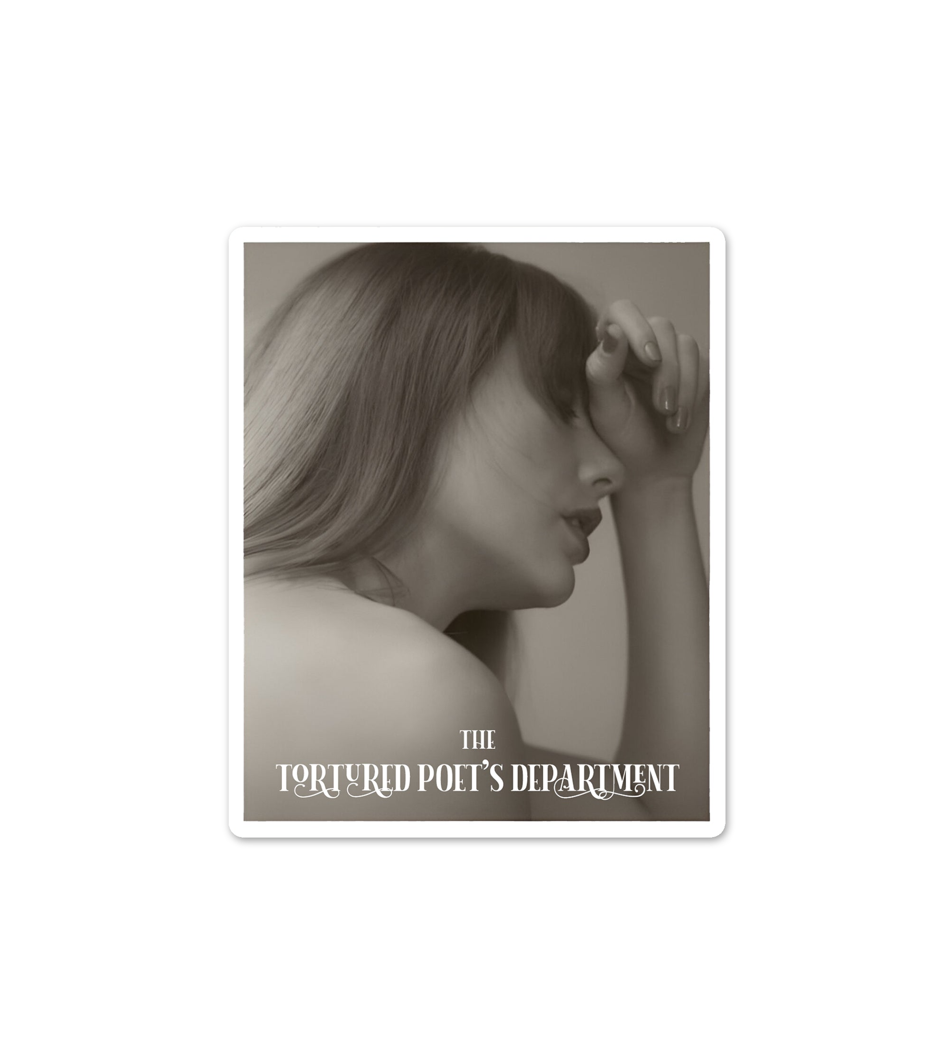 Chairman of TTDP   Taylor Swift Stickers