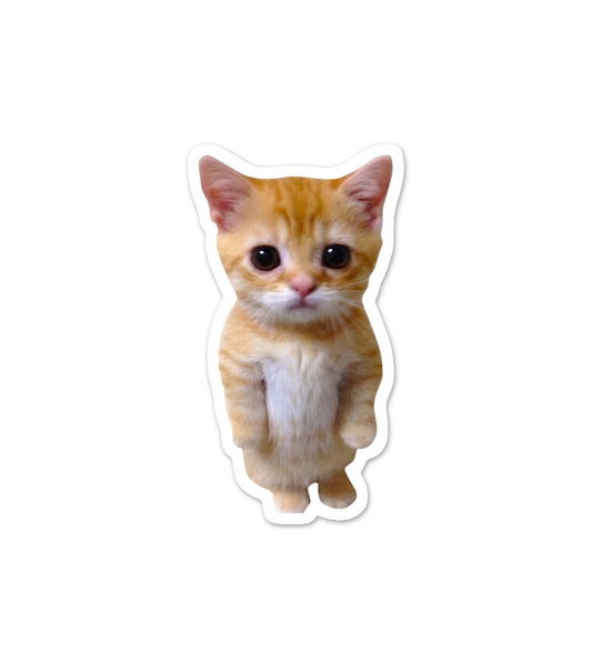 Angry Kitten  Laptop  Mobile Stickers