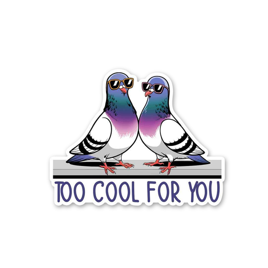 Too Cool Pigeons