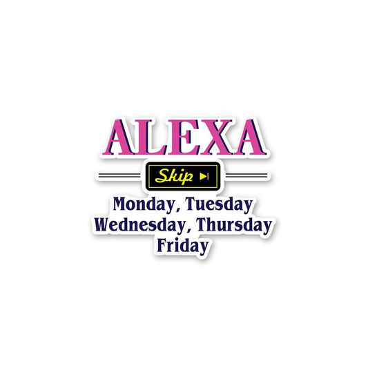 Alexa Skip Work Days