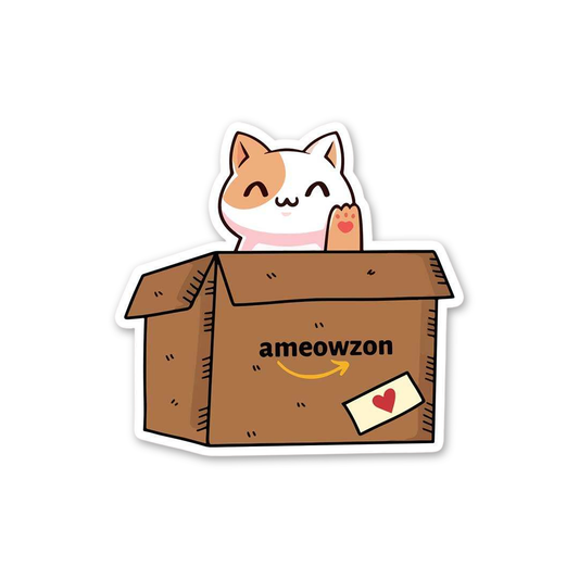 Ameowzon Delivery Cat