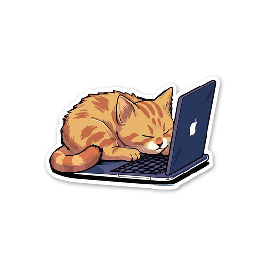 Cozy Coding Cat