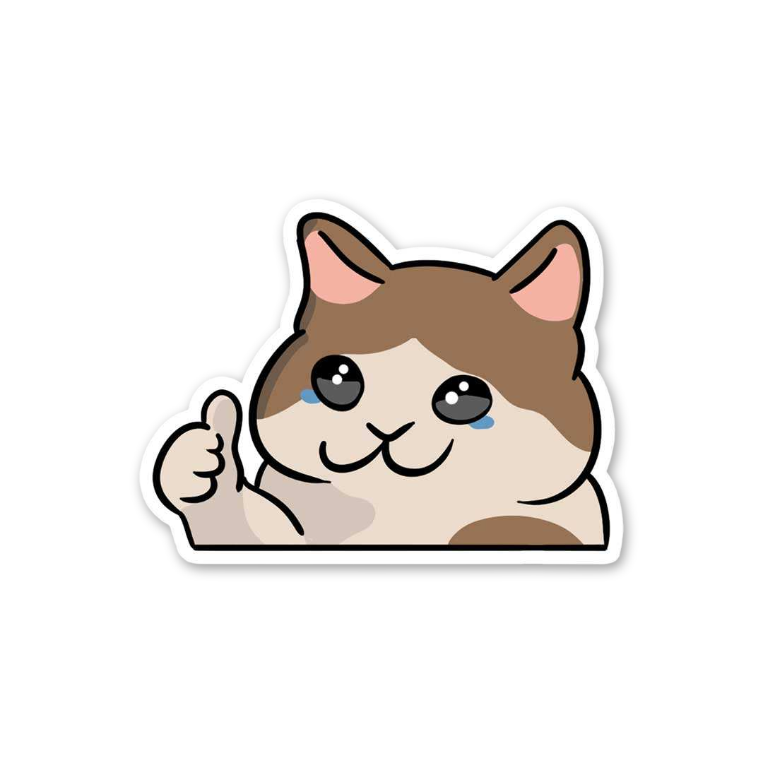 Sad Cat Thumbs Up