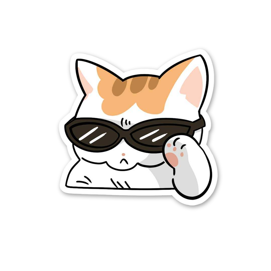 Cool Peeking Kitty