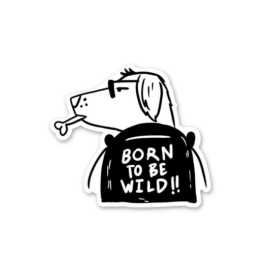 Born To Be Wild Dog