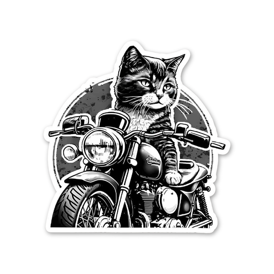 Biker Kitty Cruiser