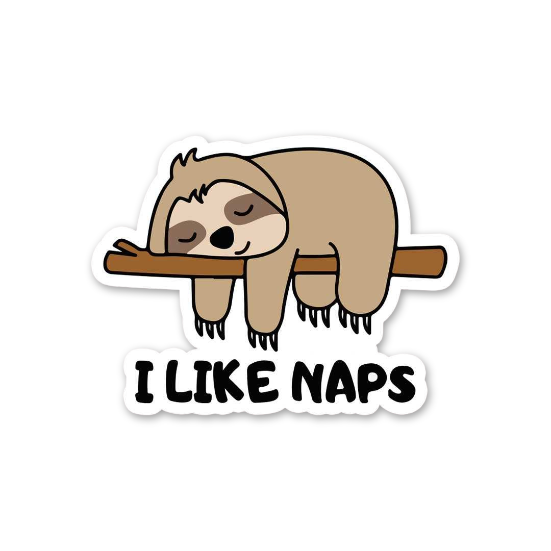 Cozy Nap Time Sloth