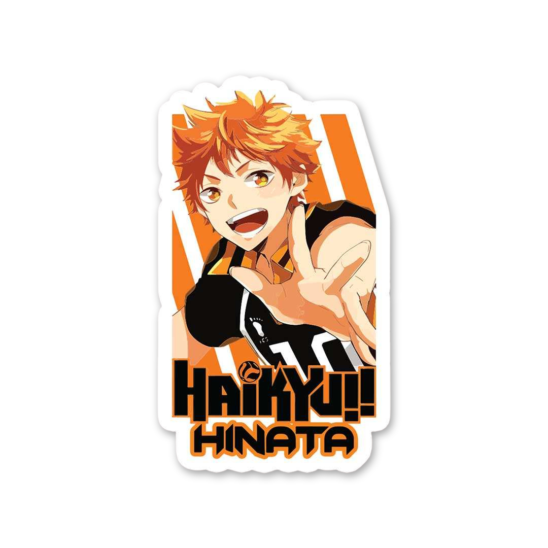 Haikyu!! Hinata Flyer