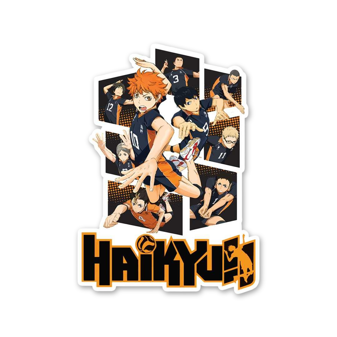 Karasuno Fly High